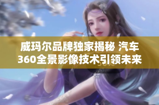 威玛尔品牌独家揭秘 汽车360全景影像技术引领未来出行体验