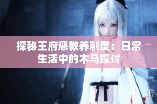 探秘王府惩教养制度：日常生活中的木马探讨
