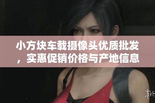 小方块车载摄像头优质批发，实惠促销价格与产地信息详解