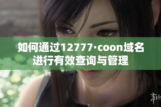 如何通过12777·coon域名进行有效查询与管理