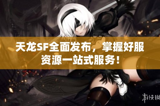 天龙SF全面发布，掌握好服资源一站式服务！