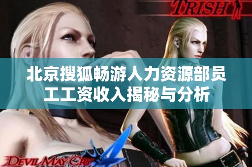 北京搜狐畅游人力资源部员工工资收入揭秘与分析