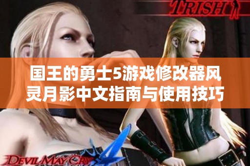国王的勇士5游戏修改器风灵月影中文指南与使用技巧