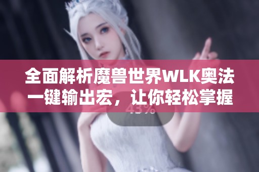 全面解析魔兽世界WLK奥法一键输出宏，让你轻松掌握魔法技巧