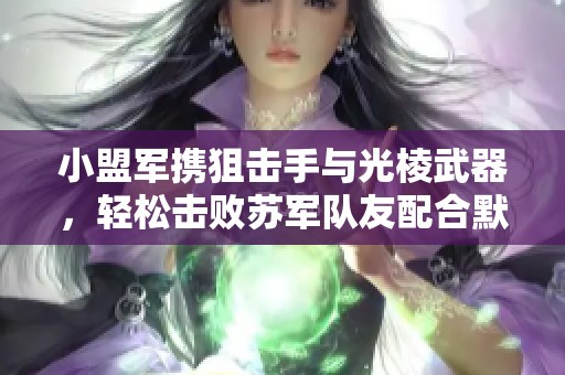 小盟军携狙击手与光棱武器，轻松击败苏军队友配合默契