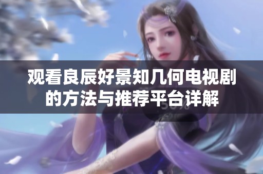 观看良辰好景知几何电视剧的方法与推荐平台详解