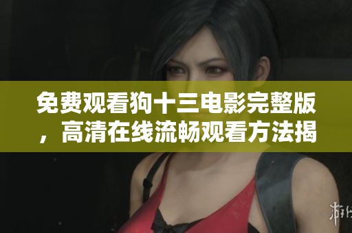 免费观看狗十三电影完整版，高清在线流畅观看方法揭秘
