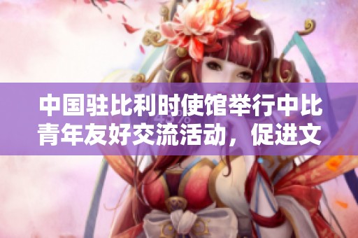 中国驻比利时使馆举行中比青年友好交流活动，促进文化理解与合作