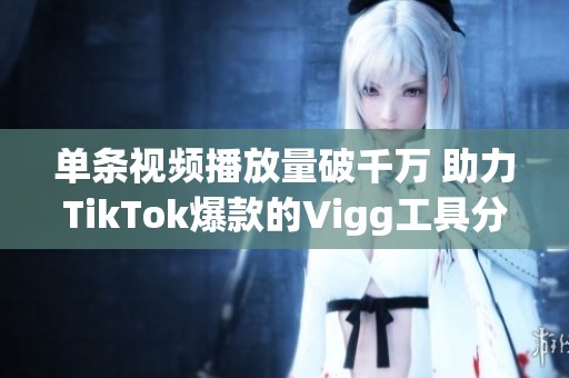 单条视频播放量破千万 助力TikTok爆款的Vigg工具分析