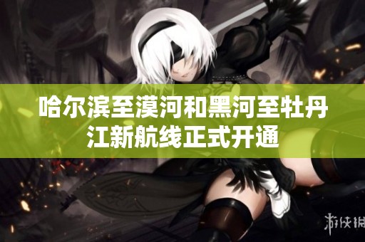 哈尔滨至漠河和黑河至牡丹江新航线正式开通