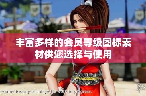 丰富多样的会员等级图标素材供您选择与使用