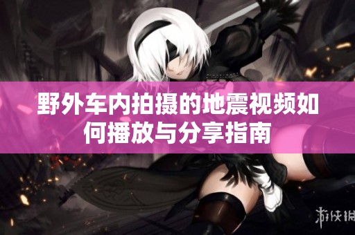 野外车内拍摄的地震视频如何播放与分享指南