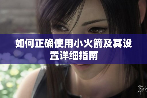 如何正确使用小火箭及其设置详细指南