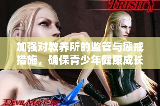 加强对教养所的监管与惩戒措施，确保青少年健康成长