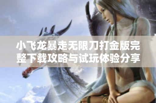 小飞龙暴走无限刀打金版完整下载攻略与试玩体验分享