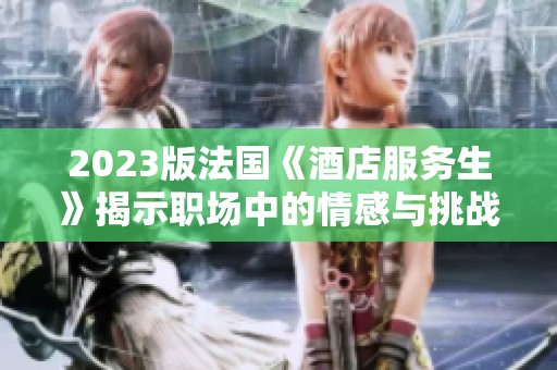 2023版法国《酒店服务生》揭示职场中的情感与挑战