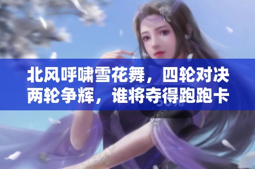 北风呼啸雪花舞，四轮对决两轮争辉，谁将夺得跑跑卡丁车世界冠军？