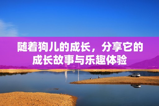随着狗儿的成长，分享它的成长故事与乐趣体验