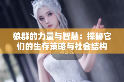 狼群的力量与智慧：探秘它们的生存策略与社会结构