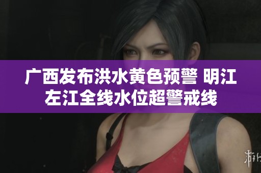 广西发布洪水黄色预警 明江左江全线水位超警戒线