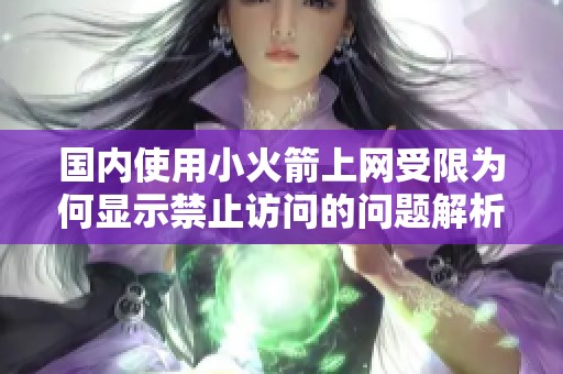 国内使用小火箭上网受限为何显示禁止访问的问题解析