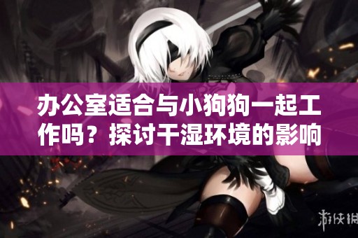 办公室适合与小狗狗一起工作吗？探讨干湿环境的影响