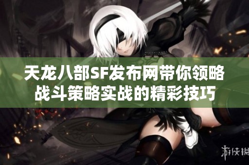 天龙八部SF发布网带你领略战斗策略实战的精彩技巧