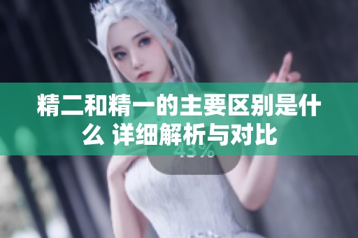 精二和精一的主要区别是什么 详细解析与对比