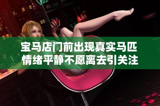 宝马店门前出现真实马匹 情绪平静不愿离去引关注