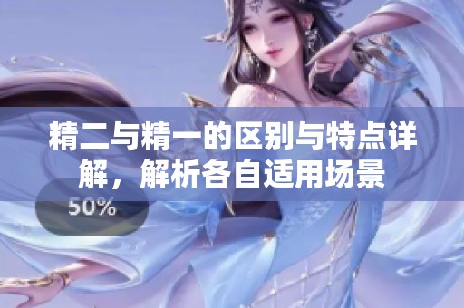 精二与精一的区别与特点详解，解析各自适用场景