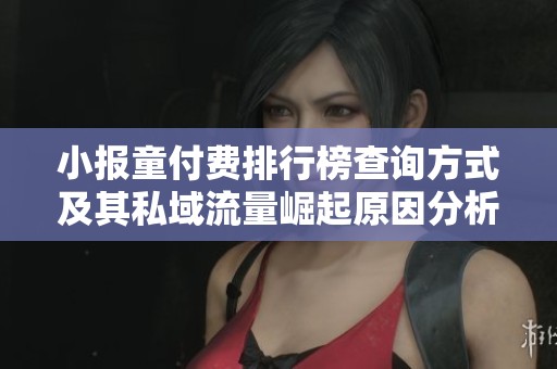 小报童付费排行榜查询方式及其私域流量崛起原因分析
