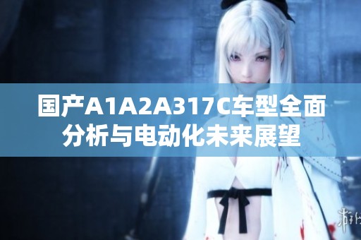 国产A1A2A317C车型全面分析与电动化未来展望