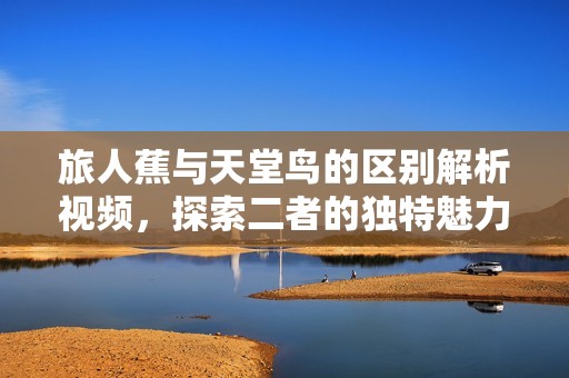 旅人蕉与天堂鸟的区别解析视频，探索二者的独特魅力与特征
