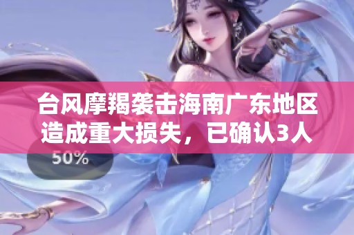 台风摩羯袭击海南广东地区造成重大损失，已确认3人遇难95人受伤