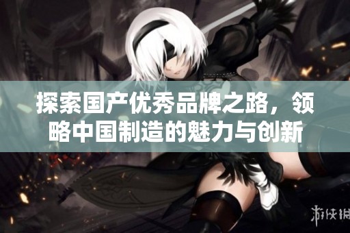 探索国产优秀品牌之路，领略中国制造的魅力与创新