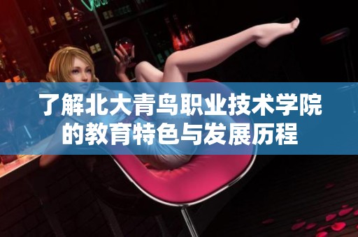 了解北大青鸟职业技术学院的教育特色与发展历程