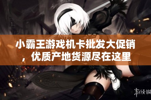小霸王游戏机卡批发大促销，优质产地货源尽在这里