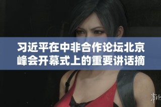 习近平在中非合作论坛北京峰会开幕式上的重要讲话摘要与解读