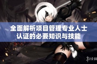 全面解析项目管理专业人士认证的必要知识与技能