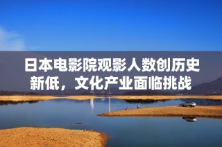 日本电影院观影人数创历史新低，文化产业面临挑战