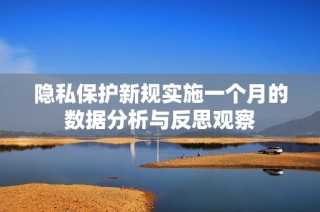 隐私保护新规实施一个月的数据分析与反思观察