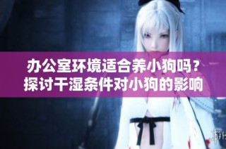 办公室环境适合养小狗吗？探讨干湿条件对小狗的影响