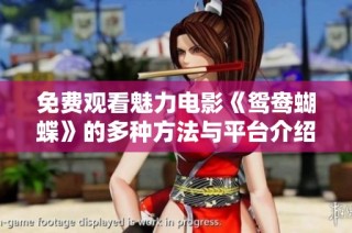免费观看魅力电影《鸳鸯蝴蝶》的多种方法与平台介绍