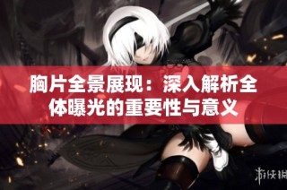 胸片全景展现：深入解析全体曝光的重要性与意义