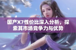 国产X7性价比深入分析，探索其市场竞争力与优势