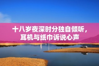 十八岁夜深时分独自倾听，耳机与纸巾诉说心声