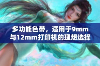 多功能色带，适用于9mm与12mm打印机的理想选择