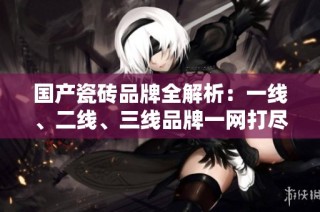 国产瓷砖品牌全解析：一线、二线、三线品牌一网打尽