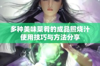 多种美味菜肴的成品照烧汁使用技巧与方法分享