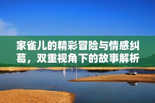 家雀儿的精彩冒险与情感纠葛，双重视角下的故事解析